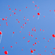 Image for article titled Balloons Are Bad—Should We Ban Them?